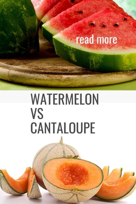 Watermelon vs Cantaloupe: Understanding the Difference and Health Benefits Cantaloupe Calories, Watermelon Calories, Cantaloupe Benefits, Watermelon Water, Watermelon Benefits, Healthy Eyes, Fruit Salad Recipes, Fresh Juice, Lower Cholesterol