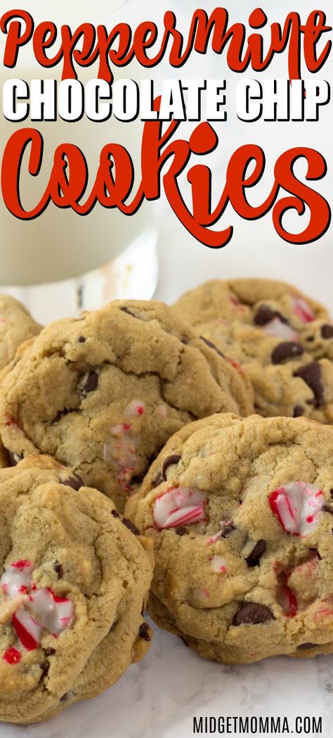 If you are looking for an amazing Christmas Chocolate Chip cookie then you are going to love these Peppermint Chocolate Chip Cookies, or as my kids like to call them, crushed candy cane cookies. These soft peppermint chocolate chip cookies are always a hit in our house! #MIdgetMomma #ChocolateChipCookies #PeppermintChocolateChipCookies #ChristmasCookies #SoftCookies Chocolate Chip And Peppermint Cookies, Candy Cane Peppermint Cookies, Chocolate Chip Cookies With Crushed Peppermint, Recipes With Peppermint Chips, Chocolate Chip Candy Cane Cookies, Candy Cane Chocolate Chip Cookies, Crushed Candy Cane Cookies, Peppermint Chip Cookies, Candy Cane Christmas Cookies