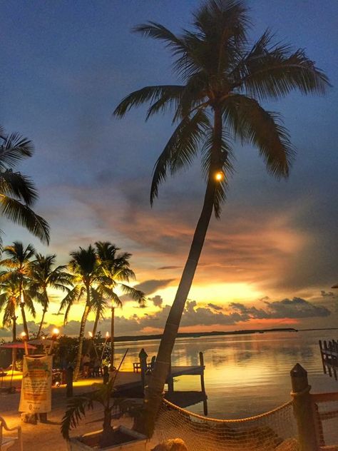 Islamorada, FL Florida Keys 2016 Islamorada Florida, Beach Night, Florida Keys, Beach Sunset, Bahamas, Places To See, Florida, Beautiful Places