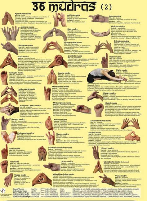 Ancient Wisdom Quotes, Meditation Methods, Hand Mudras, Yoga Facts, Yoga Hands, Reiki Healer, Yoga Poster, Healing Yoga, Yoga Mantras