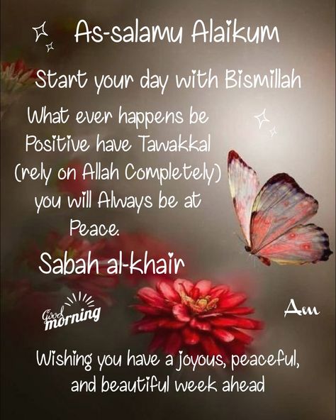 Assalaamu Alaikum Islamic Quotes, Salaam Alaikum Quotes, Assalamu Alaikum Images In English, Hello May Quotes, Beautiful Day Quotes, Islamic Quotes In English, Muslim Greeting, Beautiful Messages, Good Morning Motivation