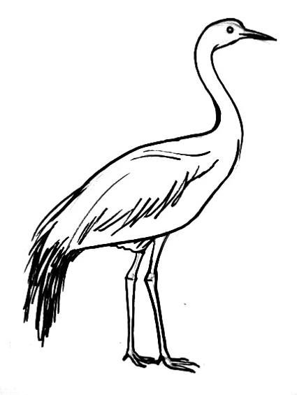 Crane Bird Drawing, Crane Drawing, Outline Images, Japanese Crane, Bird Drawing, Two Step, Simple Line Drawings, Crane Bird, Bird Drawings