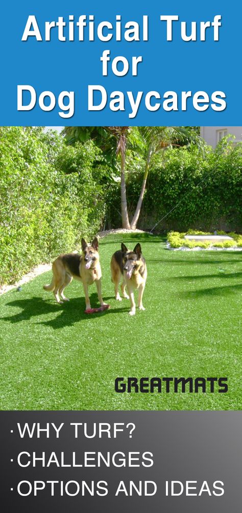 Are you looking for a way to revitalize your dog daycare? Do you want a flooring option that's safe for the dogs, but that's also durable and easy to clean? Consider artificial turf for your doggy daycare flooring. Artificial turf is highly durable yet low maintenance. There are a number of reasons why your dog daycare can benefit from this flooring solution. Astroturf Backyard For Dogs, Turf Yard For Dogs, Doggie Daycare Ideas, Dog Daycare Ideas, Doggy Daycare Business, Daycare Flooring, Dog Daycare Design, Dog Turf, Dog Play Area