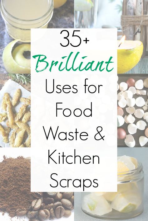 Frugal Food, Kitchen Scraps, Waste Reduction, Zero Waste Kitchen, Fruit Peel, Household Waste, Reducing Waste, Food Scraps, Waste Free