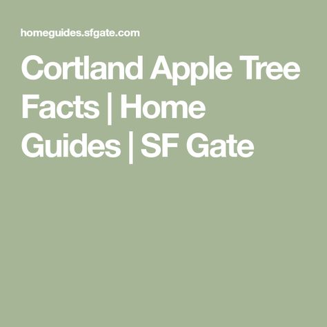 Cortland Apple Tree Facts | Home Guides | SF Gate Tree Facts, Why Try, Apple Varieties, Apple Trees, Dried Apples, Apple Orchard, Apple Butter, Apple Juice, Apple Tree