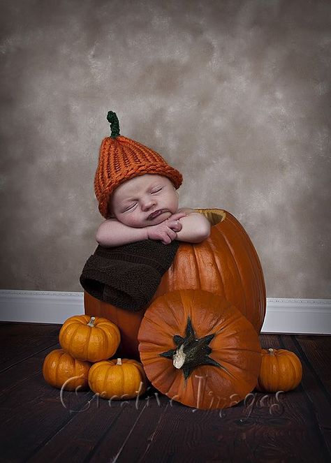 Fall Newborn Pictures, Fall Baby Photos, Fall Newborn, Fall Baby Pictures, Meridian Mississippi, Photo Bb, Pumpkin Pictures, Newborn Photography Boy, October Baby