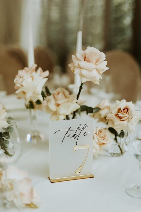 Frosted Gold Acrylic Table Numbers Table Numbers Wedding - Etsy Wedding Table Backdrop Ideas, Wedding Table Signage, Inexpensive Wedding Centerpieces, Reception Table Settings, Acrylic Table Numbers, Gold Table Numbers, Acrylic Table Number, Signing Table Wedding, Inexpensive Wedding