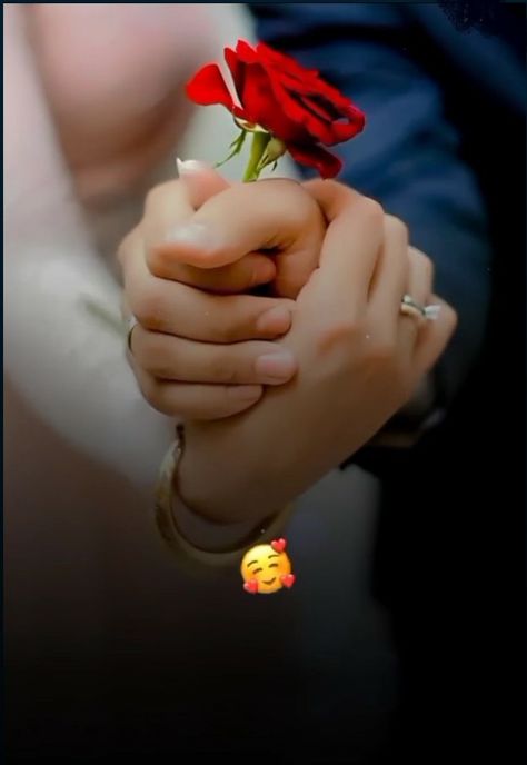 Promise Day Shayari, Shayari Happy, Have Nice Day, Promise Day, Dp Wallpaper, Instagram Black Theme, Rose Day, Love Couple Wallpaper, Teddy Day