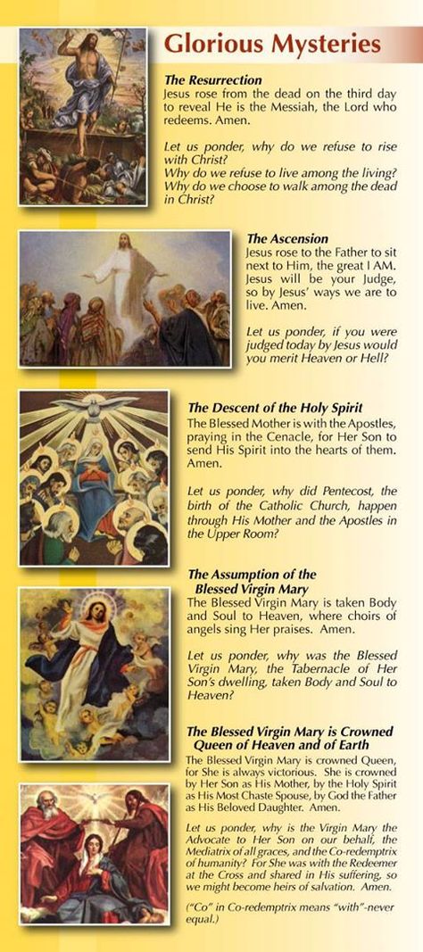 The Glorious Mysteries Emotional Equations, Marian Prayers, Praying The Rosary Catholic, Rosary Prayers, Rosary Novena, Rosary Mysteries, Rosary Prayers Catholic, Mysteries Of The Rosary, Religious Imagery