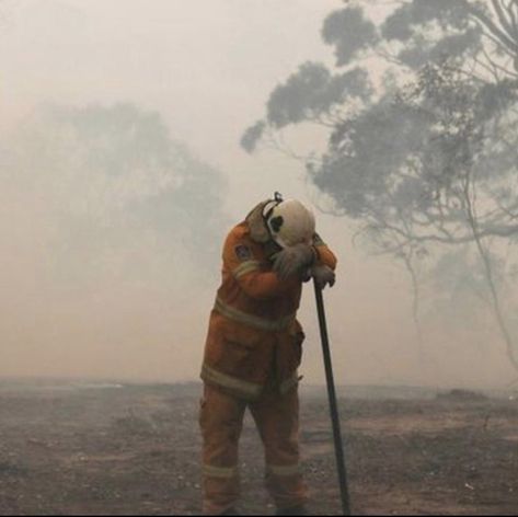 Exhausted firefighter after fighting the Australian bushfires Australian Bushfires, The Fire, Firefighter, The Past, Felt, Zelda Characters, Photographer, Fictional Characters