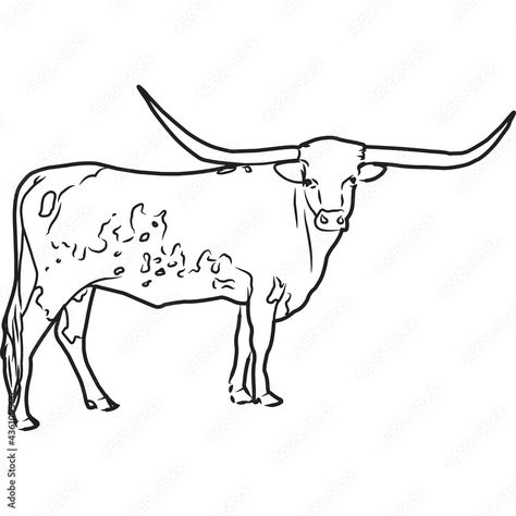 Longhorn Cow Tattoo, Longhorn Drawing, Texas Longhorn Cow, Cow Coloring Pages, Cow Tattoo, Cow Vector, Leather Inspiration, Cow Drawing, Western Photo