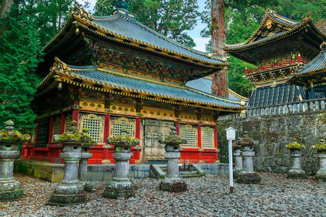 Japan is where the bright lights of cities shimmer amid the colour of parks and temples. There are many places to go in Japan - here are our tips. Toshogu Shrine, Tokugawa Ieyasu, Nikko, National Treasure, Boat Trips, Bright Lights, Unesco World Heritage, Unesco World Heritage Site, Heritage Site