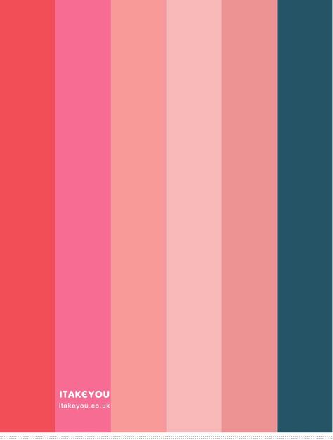 Bold color palette I Take You | Wedding Readings | Wedding Ideas | Wedding Dresses | Wedding Theme Color Palette With Hot Pink, Pink Coral Color Palette, Hot Pink Palette, Hot Pink Color Palette Colour Schemes, Hot Pink Pallette, Color Palette Hot Pink, Hot Pink Colour Palette, Hot Pink Color Palette, Coral Colour Palette