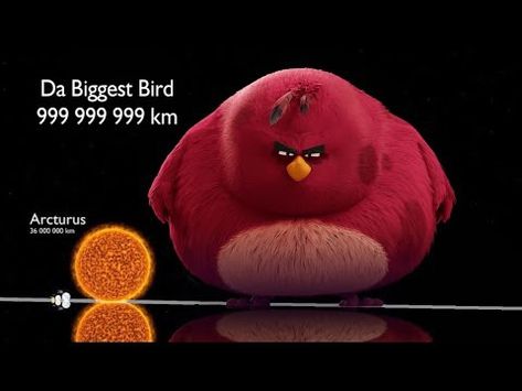 Im Da Biggest Bird, Da Biggest Bird, Biggest Bird, Planet Aesthetic, Angry Bird, Big Bird, Angry Birds, Planets, Ohio