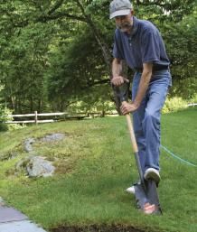 4 Ways to Remove Sod | Fine Gardening How To Remove Grass, Clean Baking Pans, Hardwood Floor Cleaner, Cleaning Painted Walls, Backyard Gardening, Glass Cooktop, Deep Cleaning Tips, Hard Water Stains, Starting A Garden