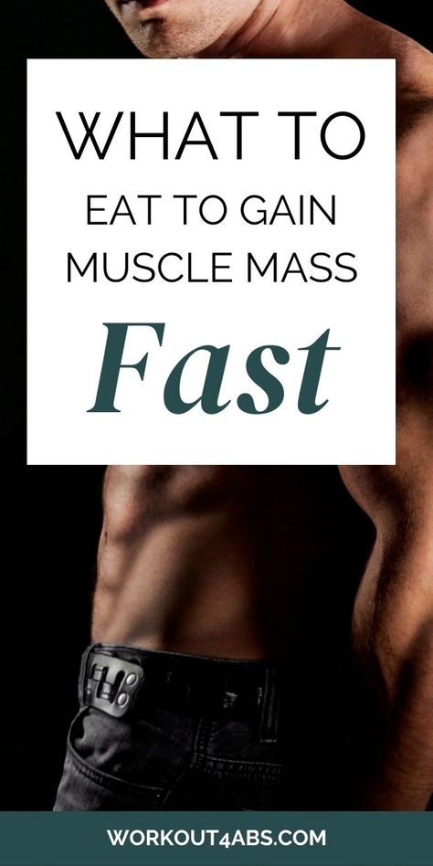 Food to Gain Muscle Mass - Workout4Abs Eating To Gain Muscle, Muscle Gain Meal Plan, Bulking Meals, Muscle Gain Diet, How To Gain Muscle, Nutrient Dense Smoothie, Food To Gain Muscle, Gain Mass, Protein To Build Muscle