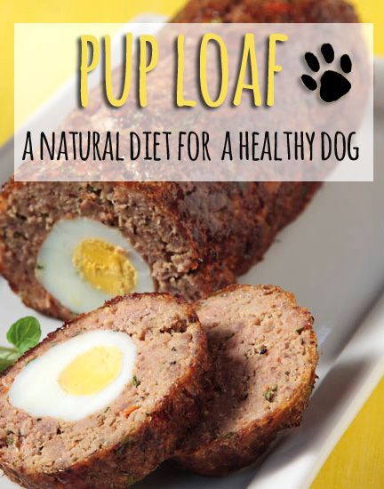 Dog Food Recipes Crockpot, Lou Dog, Dog Cookie Recipes, Foods Dogs Can Eat, Nurture Your Soul, Pet Treats Recipes, Easy Dog Treat Recipes, Diy Dog Food, Make Dog Food