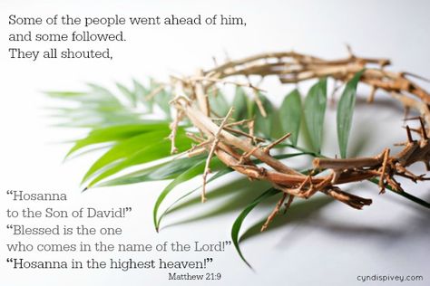 Today, Palm Sunday, marks the beginning of of Holy Week. It starts with Jesus riding a donkey into Jerusalem, where a hero’s welcome awaits him. Palm Sunday Quotes Jesus, Palm Sunday Images, Psalm Sunday, Palm Sunday Quotes, Happy Palm Sunday, Hosanna In The Highest, Palm Sunday Crafts, A Bible Verse, Son Of David