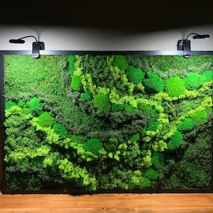 Preserved Moss Art Framed Lovely Moss Decor Living Moss Wall - Etsy Hanging Led Lights, Preserved Moss Wall Art, Preserved Moss Wall, Eco Friendly Christmas Gifts, Moss Decor, Living Wall Art, Moss Plant, Vertical Garden Wall, Eco Friendly Christmas