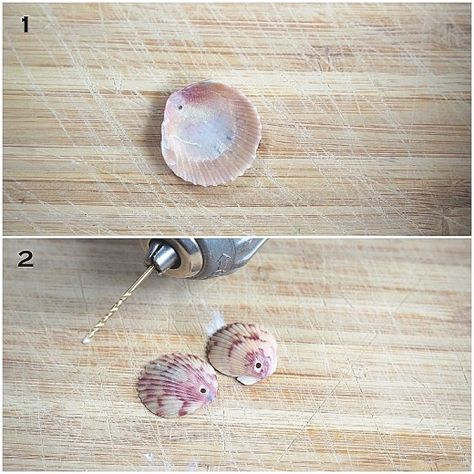 Diy Seashell Earrings, Shell Earrings Diy Seashell Jewelry, Seashell Earrings Diy, Shell Earrings Diy, Diy Seashell Jewelry, Seashell Necklace Diy, Shell Necklace Diy, Seashell Diy, Seashell Jewelry Diy