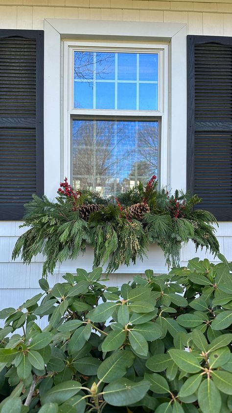 Jenna Shaughnessy | It’s easy to get a beautiful window box display that will last all winter long. Start with a window box filled with soil. Layer in branches... | Instagram Window Box Winter, Christmas Flower Boxes, White Planter Boxes, Winter Pots, Winter Containers, Random Reference, Winter Window Boxes, Window Planters, Christmas Planters