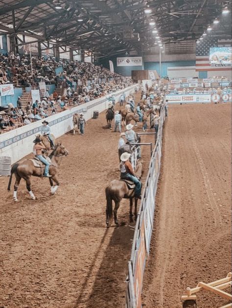 Barrel Racing, Rodeo, Barrel, Horses