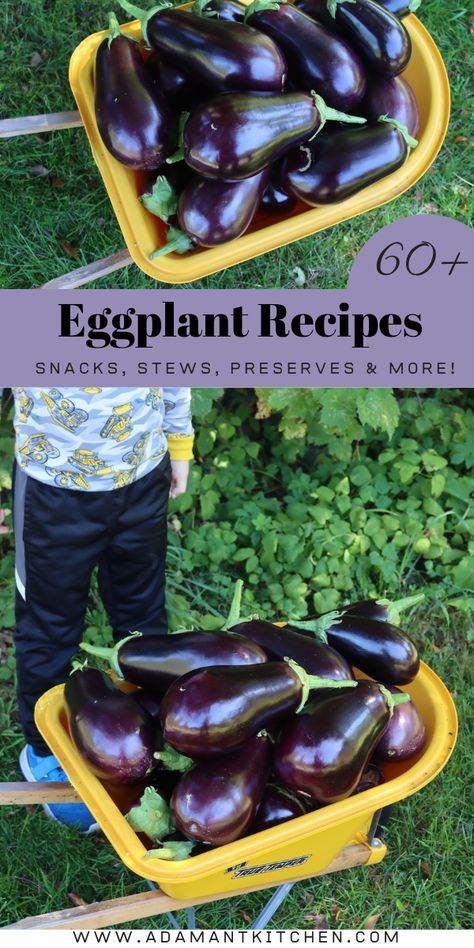 60+ Eggplant Recipes Eggplant Relish, Eggplant Side Dishes, Ways To Cook Eggplant, Roasted Eggplant Recipes, Cook Eggplant, Eggplant Chips, Roasted Eggplant Dip, Cooking Eggplant, Spicy Eggplant