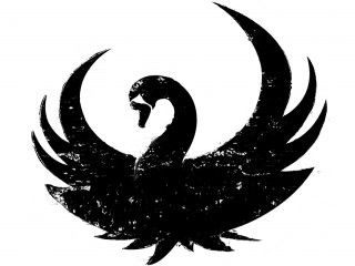 story of the year- until the day I die Black Swan Bird, Black Swan Tattoo, Black Swan Event, Swan Tattoo, Swan Lake Ballet, Dark Swan, Swan Logo, Unknown Pleasures, Lost City