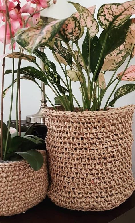 How to Use Gorgeous Baskets as Planters for your Indoor Garden Plant Baskets Indoor, Wicker Planter, Jute Basket, Seagrass Basket, Basket Planters, Wicker Decor, Bathroom Plants, Fast Growing Plants, Plant Ideas