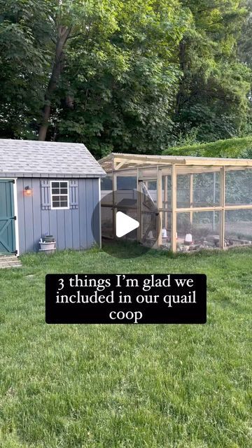 Quail Enclosure Ideas, Quail Aviary Ideas, Quail Aviary, Quail Hutch, Quail Pen, Quail House, Quail Run, Quail Cage, Quail Coop