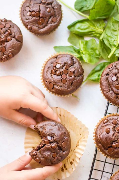 These Healthy Chocolate Muffins are pack with good-for-you ingredients and can be made in your blender! Loaded with greens and carrots, you are going to love how much your family adores these healthy muffins! Muffins With Veggies, Vegetable Muffins, Healthy Chocolate Muffins, Spinach Muffins, Paleo Snack, Double Chocolate Muffins, Hidden Veggies, Healthy Muffins, Chocolate Muffins