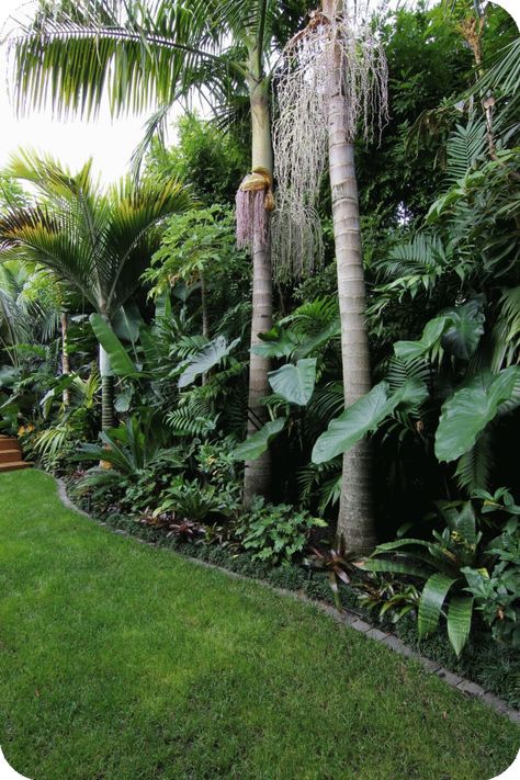 Tropical Backyard Landscaping, Small Tropical Gardens, Bali Garden, Balinese Garden, Tropical Landscape Design, Florida Landscaping, Build Design, Tropical Garden Design, Jungle Gardens