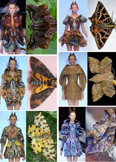 Alexander McQueen                                                                                                                                                                                 Mehr Moth Faerie, Space Presentation, Recycle Dress, Avangard Fashion, Nature Inspired Fashion, Bug Collection, Alexander Mcqueen Fashion, Savage Beauty, Mcqueen Fashion