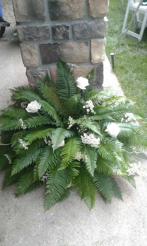 Arrangement of ferns with white roses and accent flowers Fern Wedding Aisle Decor, Fern Wedding Alter, Ferns In Front Of Stage Wedding, Ferns And White Flowers Wedding, Fern Lined Wedding Aisle, Rose Wedding Decorations, Fern Flower, Tropical Wedding Bouquets, Forest Theme Wedding