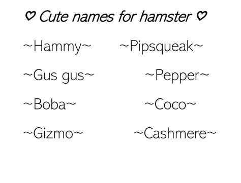 Hamster Names, Cute Hamster, Cute Hamsters, Cute Names, Projects To Try, Quick Saves