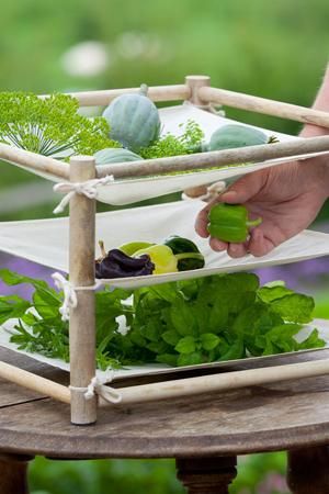 Food Drying Rack, Diy Herb Drying Rack, Backyard Vegetable Gardens, Garden Kits, Vegetable Garden Design, Drying Herbs, Growing Herbs, Medicinal Herbs, Medicinal Plants