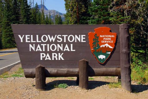 See All 1,852 Yellowstone National Park Campsite Photos Dude Ranch Vacations, Park Signage, Visit Yellowstone, West Yellowstone, Yellowstone Park, National Parks Map, Hiking National Parks, National Park Photos, Dude Ranch