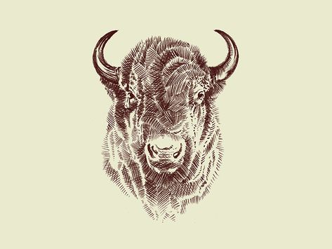 Bison Bison Illustration, Watercolor Buffalo, Coyote Tattoo, Bison Tattoo, Buffalo Tattoo, Buffalo Animal, Bison Art, Bison Skull, Buffalo Art