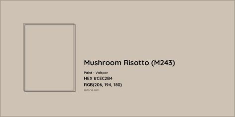 HEX #CEC2B4 Mushroom Risotto (M243) Paint Valspar - Color Code Valspar Mushroom Paint Colors, Pantone Tcx, Valspar Colors, Analogous Color Scheme, Rgb Color Codes, Paint Color Codes, Hexadecimal Color, Mushroom Paint, Rgb Color Wheel