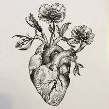 Kunst Tattoos, Tattoo Heart, Geniale Tattoos, Heart Drawing, Anatomical Heart, Human Heart, Trendy Tattoos, Sleeve Tattoo, Skin Art