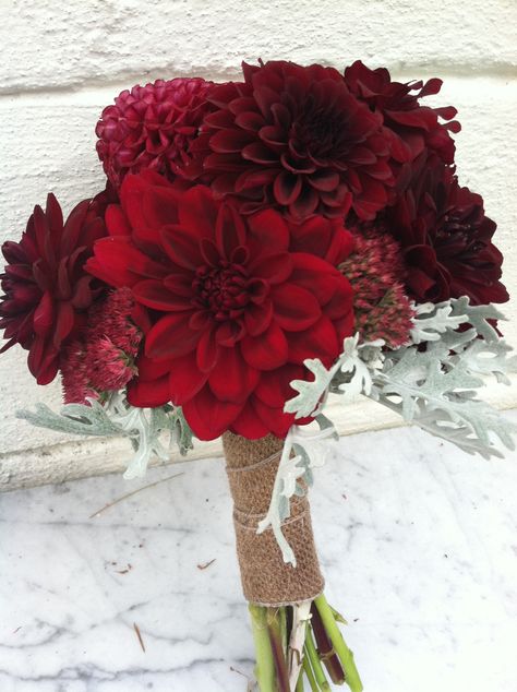 Deep red dahlia mini bouquet Event Designs by Katherine Red Dahlia Bouquet, Dalia Bouquet, Burgundy Weddings, Dahlia Wedding Bouquets, Dahlia Wedding, Dahlias Wedding, Black Bouquet, Dahlia Bouquet, Red Dahlia