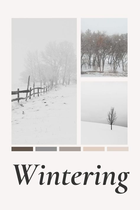 Wintering Seasons Aesthetic, Steal Like An Artist, Cozy Ideas, Winter Wellness, Cozy Hygge, Seasonal Living, Winter Bucket List, Winter To Spring, Winter Ideas