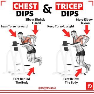 Daily Life & Fitness - CHEST DIPS & TRICEP DIPS by @dailyfitness18  .  Dips use your body weight to challenge your muscles and can be varied to work different muscles. For example, the setup and execution can mean the difference between working your triceps and chest muscles. Understanding the difference between the chest and triceps dip can make for a better knowledge of your anatomy as well as more effective time spent in the gym.   .  The basic difference while performing these exercises are: For the chest dip, you will grip the bar so that the bar is held diagonally in your hand. For the triceps dip, the bar will rest straight in your hand. During the execution of each exercise, your form should differ. When doing the chest dip, flare your elbows out to each side as you lower your body Chest Dips, Six Pack Body, 1 Hour Workout, Dip Workout, Transformation Motivation, Workout Training Programs, Tricep Dips, Chest Muscles, Workout Plan Gym