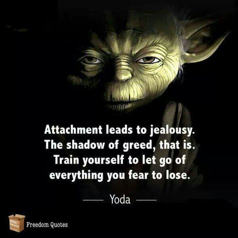 Train yourself to let go of everything you fear to lose. Yoda Quotes, Jealousy Quotes, Let Go Of Everything, Freedom Quotes, Quotes Videos, Star Wars Quotes, Pictures Quotes, Star Wars Film, Star Wars Images