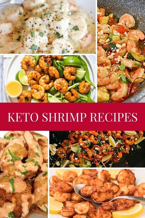 Keto Shrimp Recipes are essential when you want to enjoy your favorite protein! Filled with delicious flavor these will help you stick to your keto diet! Shrimp Ideas, Innovative Recipes, Low Carb Shrimp Recipes, Keto Shrimp Recipes, Recipe Inspirations, Keto Shrimp, Keto Seafood, Clean Eating Meal Plan, Ketogenic Diet Meal Plan