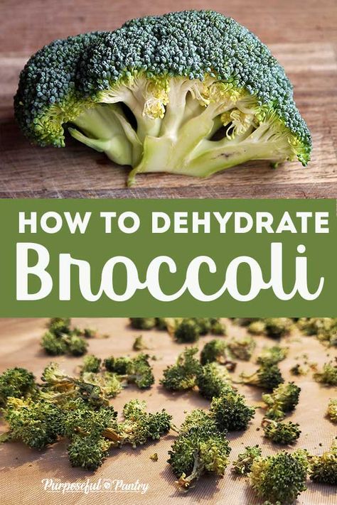 Learn how easy it is to dehydrate the whole broccoli plant and make it useful for your long-term storage, green powder, and everyday meals. Foods To Dehydrate, Purposeful Pantry, Dehydrator Recipes Fruit, Dehydrated Recipes, Dehydrating Food Storage, Dehydrating Recipes, Broccoli Plant, Food Dehydration, Food Prepping