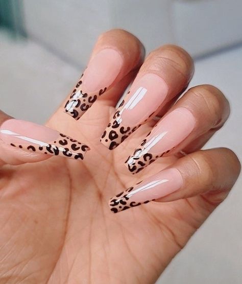 Leapord Nails Acrylic, Acrylic Nail Shapes, Cheetah Nails, Long Acrylic Nail Designs, French Manicure Nails, French Acrylic Nails, Leopard Nails, Manicure Nails, Long Square Acrylic Nails