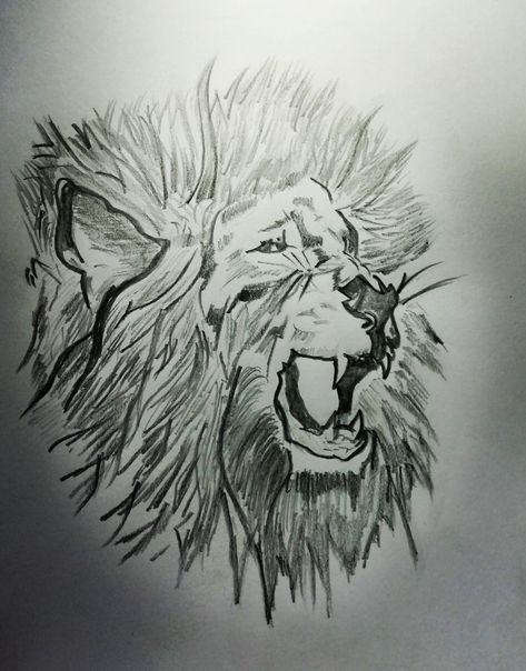 Pencil sketch Lion Roar, Pencil Work, Roaring Lion, Pencil Sketch, Blending, Lion, Sketch Book, Sketch, Pencil