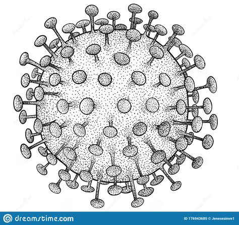 HIV Virus Illustration, Drawing, Engraving, Ink, Line Art, Vector Stock Vector - Illustration of doodle, microbiology: 176943685 Images For Drawing, Virus Illustration, Ink Line Art, Line Art Vector, Bio Art, Pencil And Paper, Diy Canvas Art Painting, Microbiology, Vector Stock