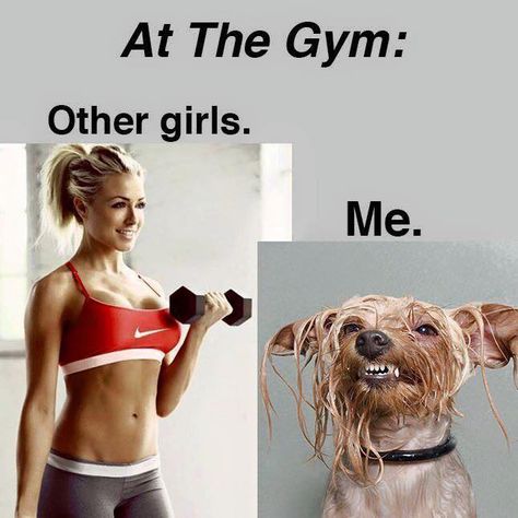 At the Gym Other girls vs me... who an relate? Gym Humour, Gym Funny, Fitness Funny, Fitness Memes, Diet Humor, Fitness Humor, Funny Fitness, Motivation Poster, Gym Quote